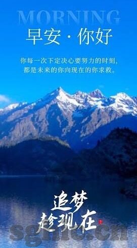 成人黄色在线视频-成人黄色在线视频，网络时代的隐忧与反思
