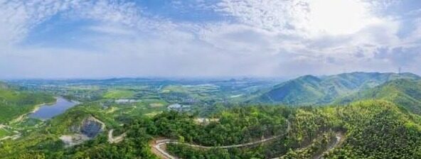大象传媒怎么样-大象传媒，创意与影响力的双重奏鸣