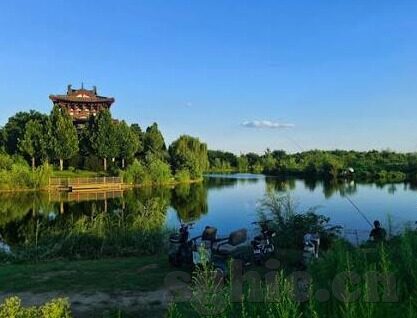 果冻传媒在线地址-探索果冻传媒的在线世界，创意与娱乐的交汇点