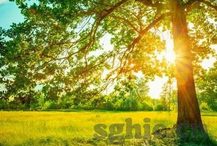 人妻激情有声录音精品-探索人妻激情的细腻世界，有声录音精品的独特魅力